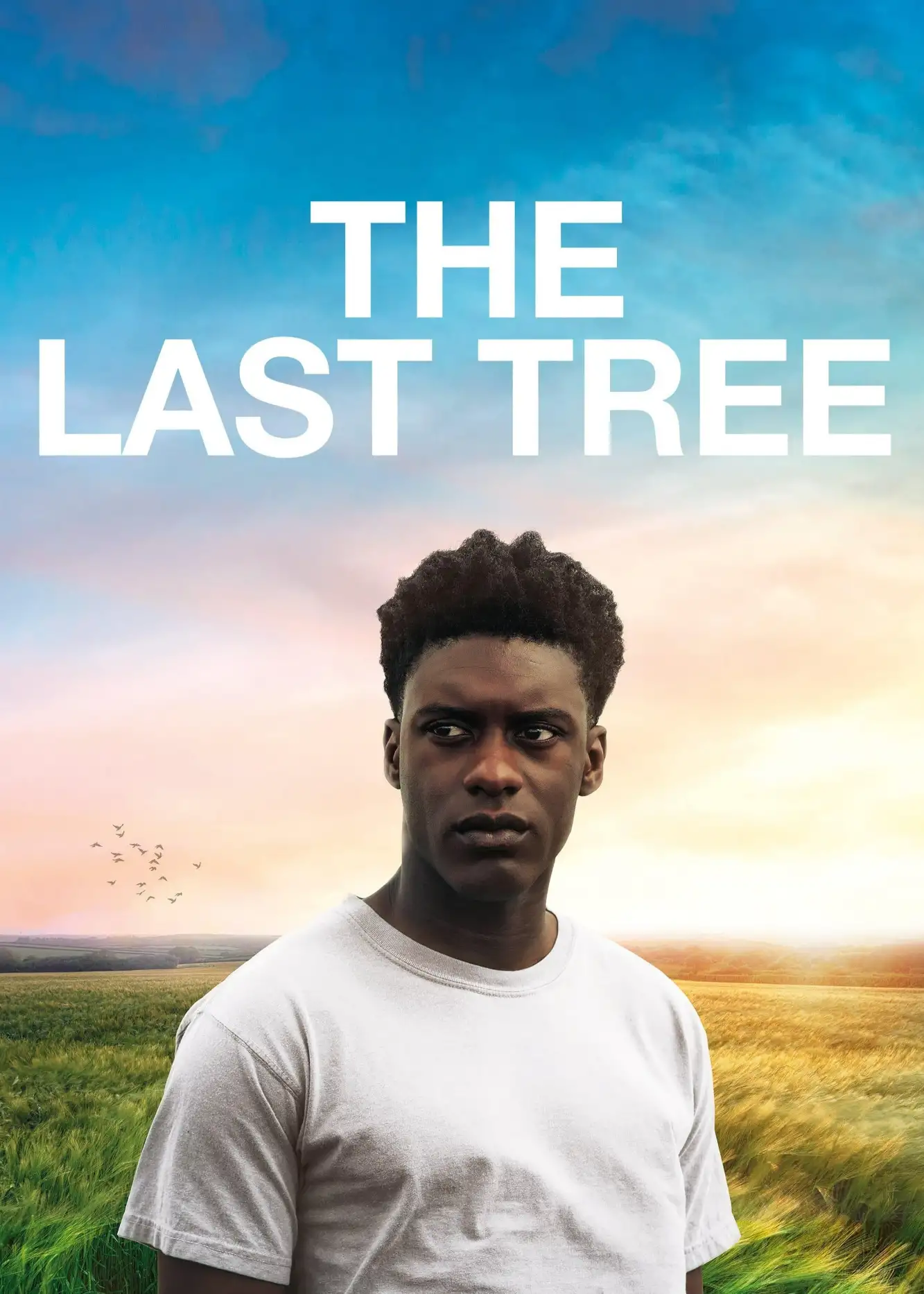 The Last Tree